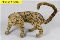 Formosan Clouded Leopard Collection Image, Figure 16, Total 29 Figures